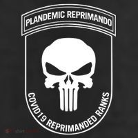Plandemic Reprimando Covid19 Reprimanded Ranks 7 Panel Mesh Trucker Snapback Hat
