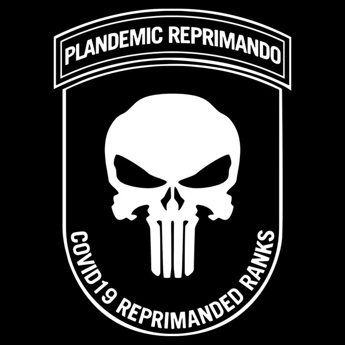 Plandemic Reprimando Covid19 Reprimanded Ranks Flexfit Unipanel Trucker Cap