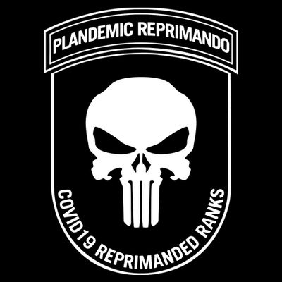 Plandemic Reprimando Covid19 Reprimanded Ranks T-Shirt