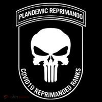 Plandemic Reprimando Covid19 Reprimanded Ranks Flatbill Hat