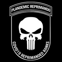 Plandemic Reprimando Covid19 Reprimanded Ranks Youth Performance Sprint T-Shirt