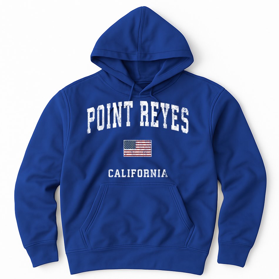 Point Reyes California Ca Vintage American Flag Sports Cute Gift Hoodie