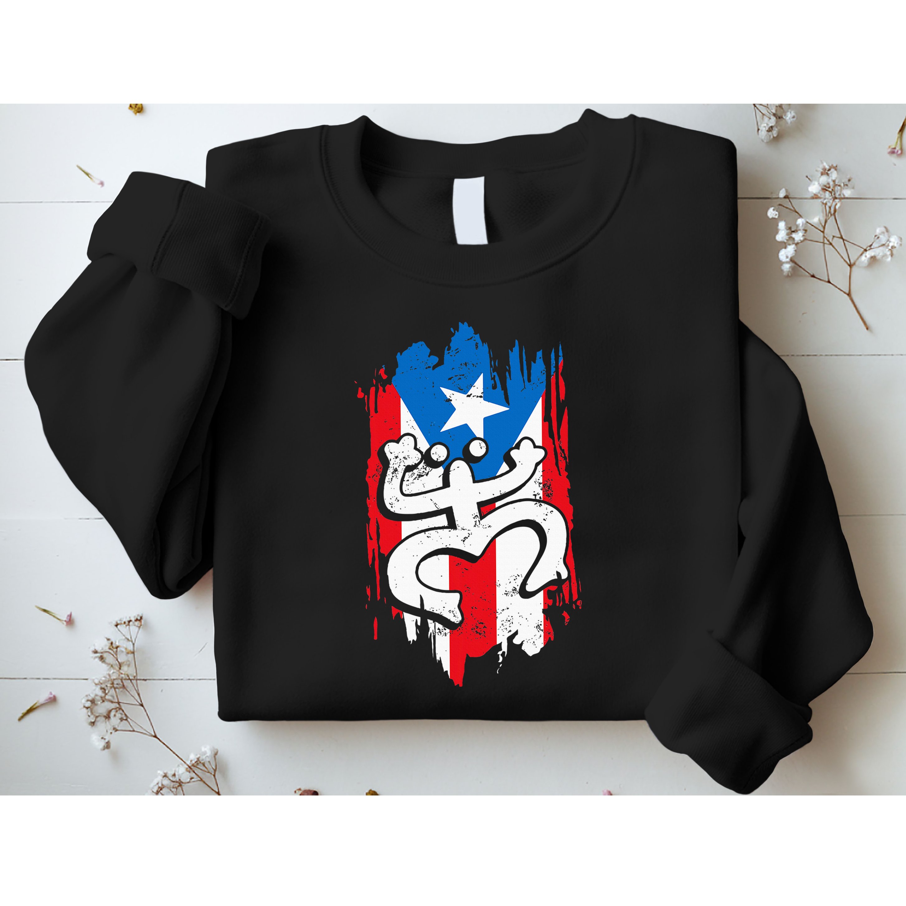 Puerto Rico Coqui Taino Symbol Puerto Rican Flag Frog Retro Sweatshirt
