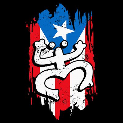 Puerto Rico Coqui Taino Symbol Puerto Rican Flag Frog Retro T-Shirt
