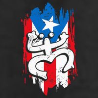 Puerto Rico Coqui Taino Symbol Puerto Rican Flag Frog Retro Beanie