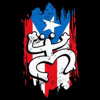 Puerto Rico Coqui Taino Symbol Puerto Rican Flag Frog Retro 16 in Basic Backpack