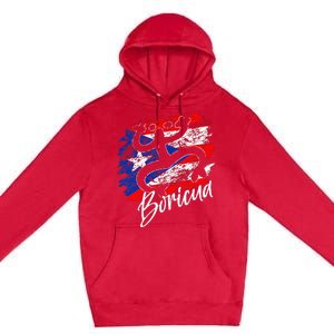 Puerto Rico Distressed Rican Roots Coqui Taino Boricua Frog Premium Pullover Hoodie