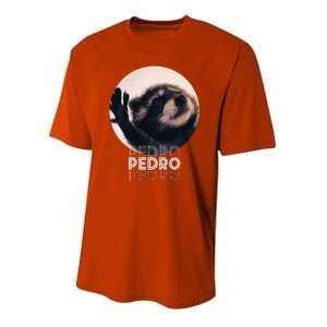 Pedro Racoon Dance Popular Internet Meme Mapache Dance Youth Performance Sprint T-Shirt