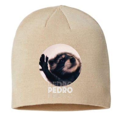 Pedro Racoon Dance Popular Internet Meme Mapache Dance Sustainable Beanie