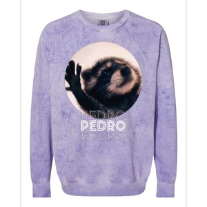 Pedro Racoon Dance Popular Internet Meme Mapache Dance Colorblast Crewneck Sweatshirt