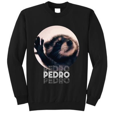 Pedro Racoon Dance Popular Internet Meme Mapache Dance Sweatshirt