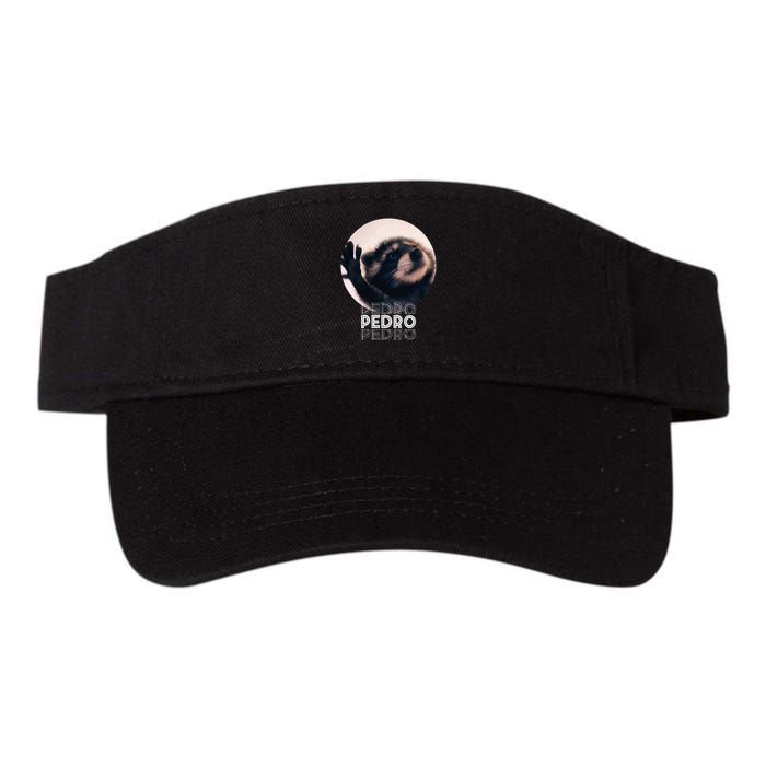 Pedro Racoon Dance Popular Internet Meme Mapache Dance Visor