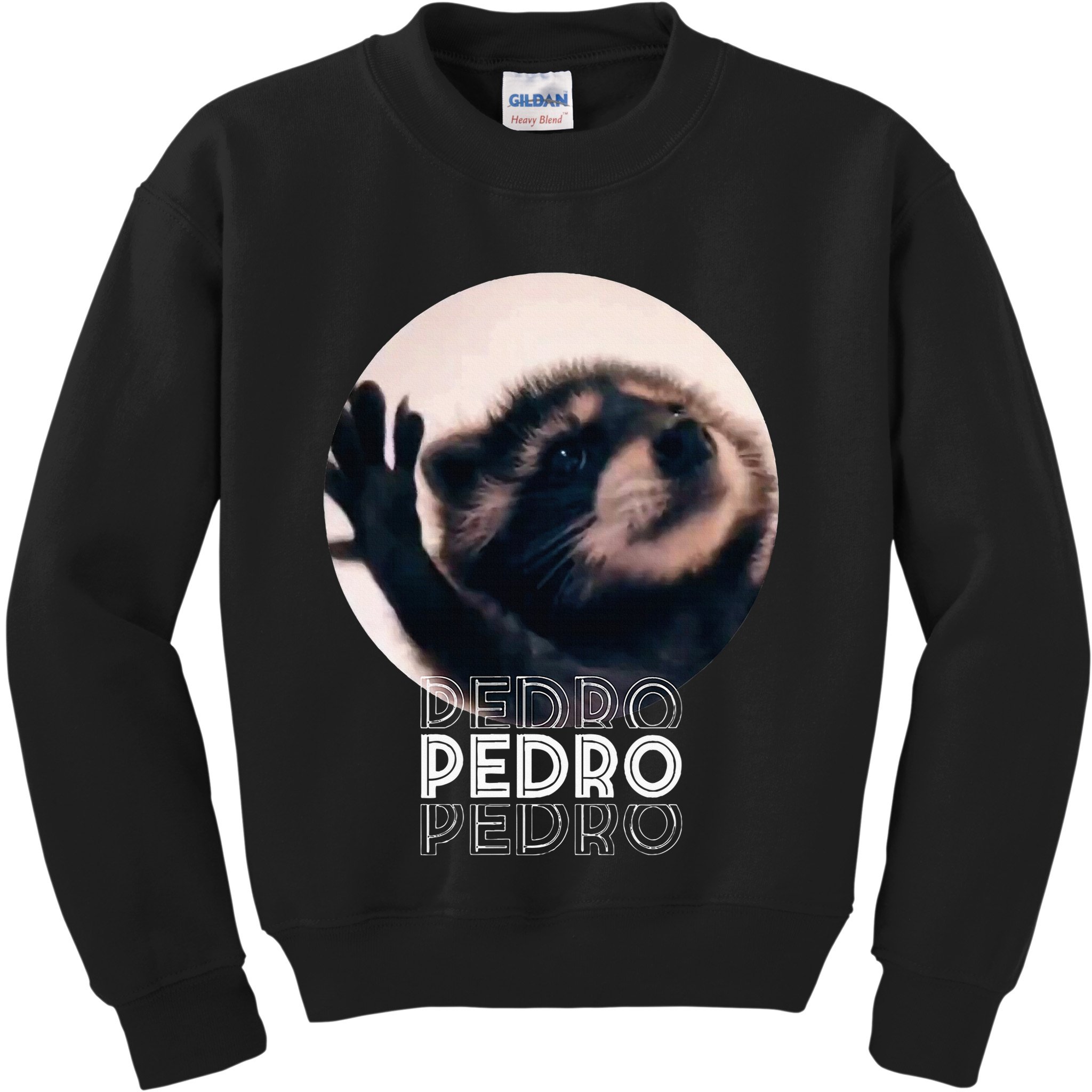 Pedro Racoon Dance Popular Internet Meme Mapache Dance Kids Sweatshirt