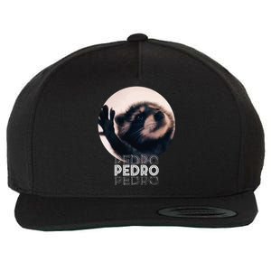 Pedro Racoon Dance Popular Internet Meme Mapache Dance Wool Snapback Cap