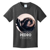 Pedro Racoon Dance Popular Internet Meme Mapache Dance Kids T-Shirt