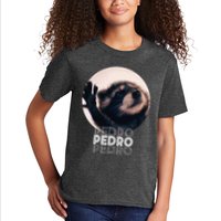 Pedro Racoon Dance Popular Internet Meme Mapache Dance Kids T-Shirt