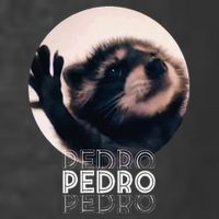 Pedro Racoon Dance Popular Internet Meme Mapache Dance Kids T-Shirt