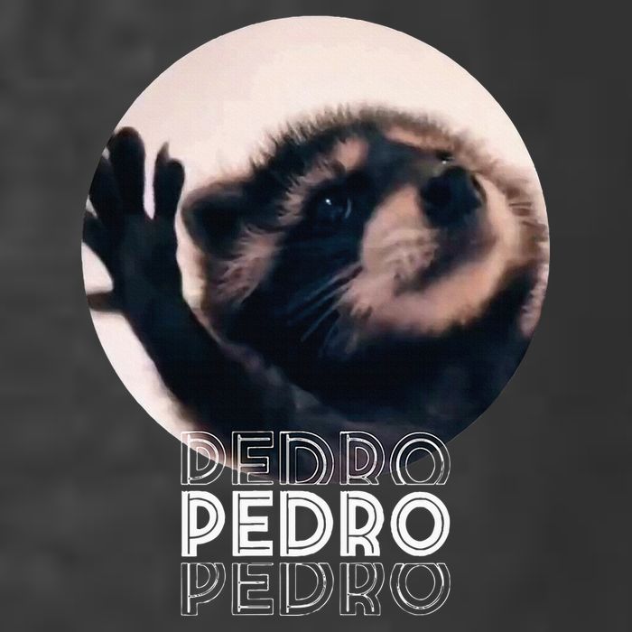 Pedro Racoon Dance Popular Internet Meme Mapache Dance Kids T-Shirt