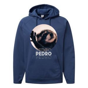 Pedro Racoon Dance Popular Internet Meme Mapache Dance Performance Fleece Hoodie