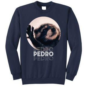 Pedro Racoon Dance Popular Internet Meme Mapache Dance Sweatshirt