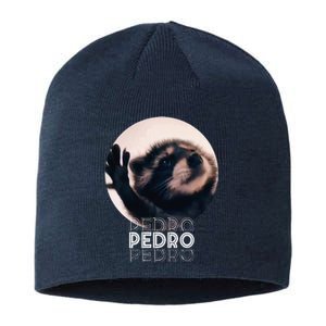 Pedro Racoon Dance Popular Internet Meme Mapache Dance Sustainable Beanie