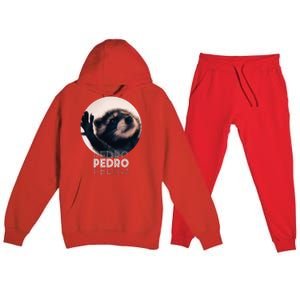 Pedro Racoon Dance Popular Internet Meme Mapache Dance Premium Hooded Sweatsuit Set