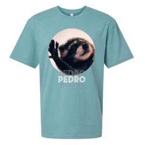 Pedro Racoon Dance Popular Internet Meme Mapache Dance Sueded Cloud Jersey T-Shirt