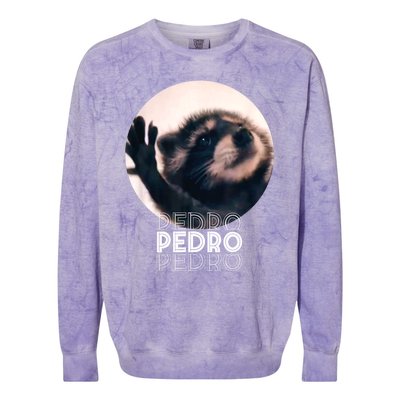 Pedro Racoon Dance Popular Internet Meme Mapache Dance Colorblast Crewneck Sweatshirt