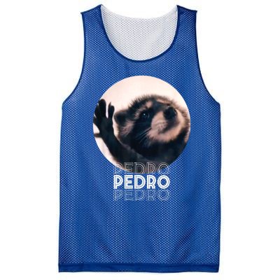 Pedro Racoon Dance Popular Internet Meme Mapache Dance Mesh Reversible Basketball Jersey Tank