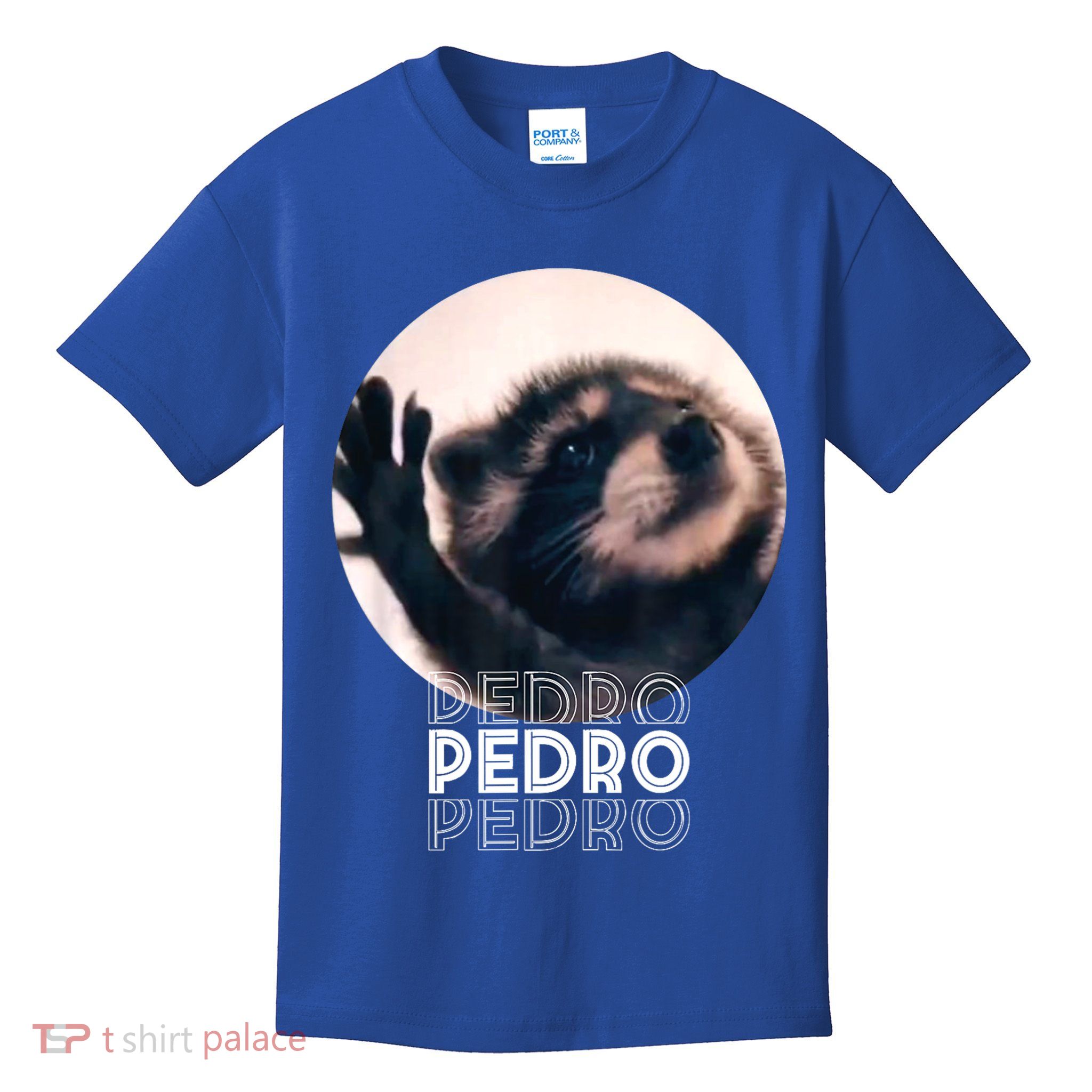Pedro Racoon Dance Popular Internet Meme Mapache Dance Kids T-Shirt