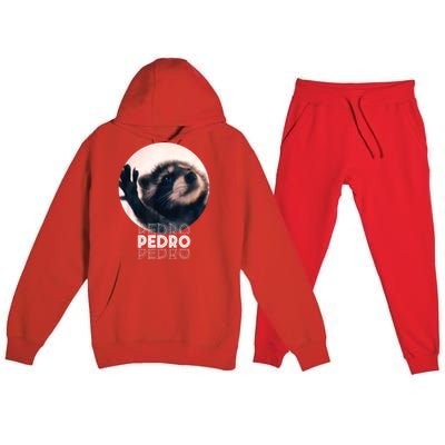 Pedro Racoon Dance Popular Internet Meme Mapache Dance Premium Hooded Sweatsuit Set