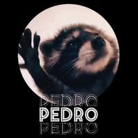 Pedro Racoon Dance Popular Internet Meme Mapache Dance USA-Made Doggie Bandana