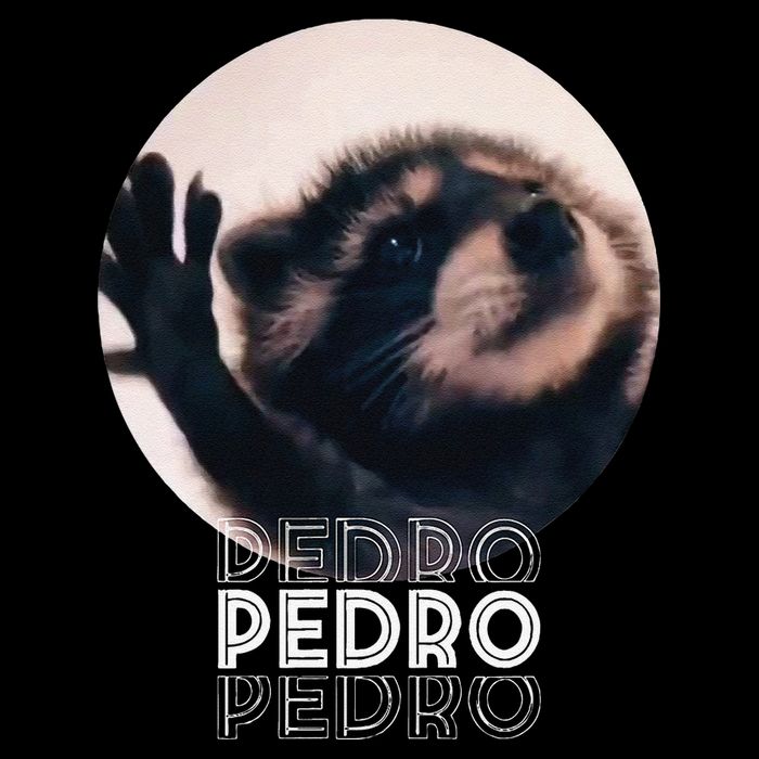 Pedro Racoon Dance Popular Internet Meme Mapache Dance USA-Made Doggie Bandana