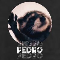 Pedro Racoon Dance Popular Internet Meme Mapache Dance Adult Drive Performance Visor