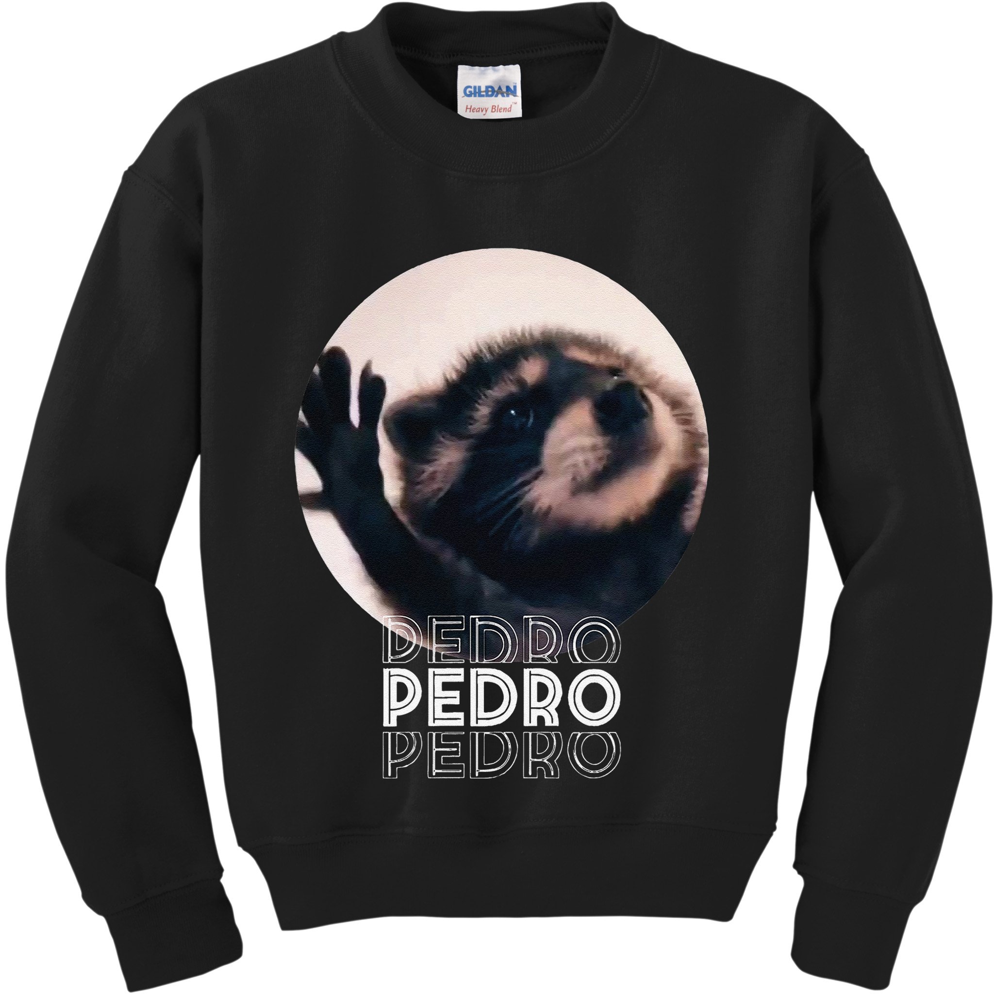 Pedro Racoon Dance Popular Internet Meme Mapache Dance Kids Sweatshirt