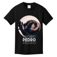 Pedro Racoon Dance Popular Internet Meme Mapache Dance Kids T-Shirt