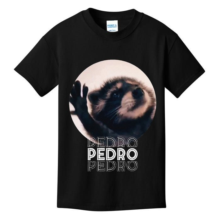 Pedro Racoon Dance Popular Internet Meme Mapache Dance Kids T-Shirt