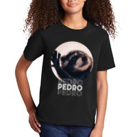 Pedro Racoon Dance Popular Internet Meme Mapache Dance Kids T-Shirt