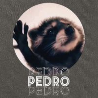 Pedro Racoon Dance Popular Internet Meme Mapache Dance Cotton Canvas Backpack