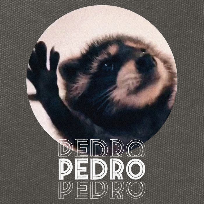 Pedro Racoon Dance Popular Internet Meme Mapache Dance Cotton Canvas Backpack