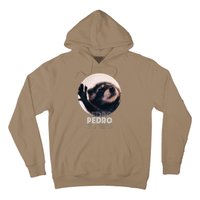 Pedro Racoon Dance Popular Internet Meme Mapache Dance Hoodie