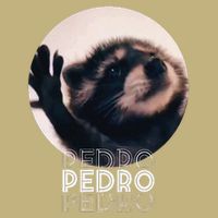 Pedro Racoon Dance Popular Internet Meme Mapache Dance Button