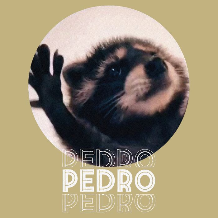 Pedro Racoon Dance Popular Internet Meme Mapache Dance Button
