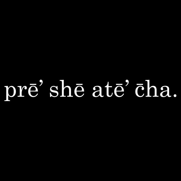 Pre She Ate Cha Presheatecha Impact Tech Backpack