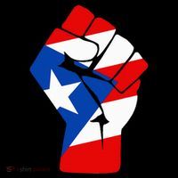 Puerto Rican Flag Raised Fist Of Solidarity Anti Trump Flatbill Hat