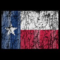 Patriotic Retro Flag Of Texas Sustainable Bucket Hat