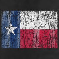 Patriotic Retro Flag Of Texas Tumbler