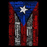 Puerto Rican Flag With Towns And Cities Of Puerto Rico Cooling Performance Crew T-Shirt
