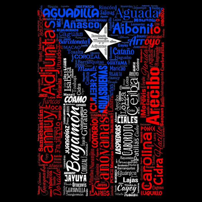 Puerto Rican Flag With Towns And Cities Of Puerto Rico Cooling Performance Crew T-Shirt