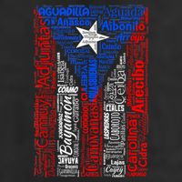 Puerto Rican Flag With Towns And Cities Of Puerto Rico 11oz C Handle Ceramic Mug
